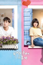 A Love So Beautiful นับแต่นั้น…ฉันรักเธอ